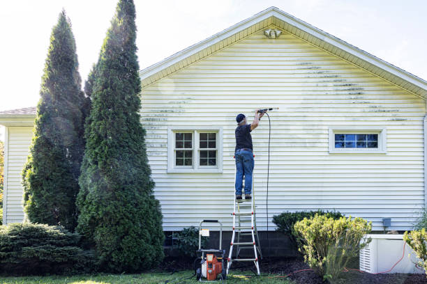 Best Roof Cleaning and Mildew Removal in Maplewood, MN